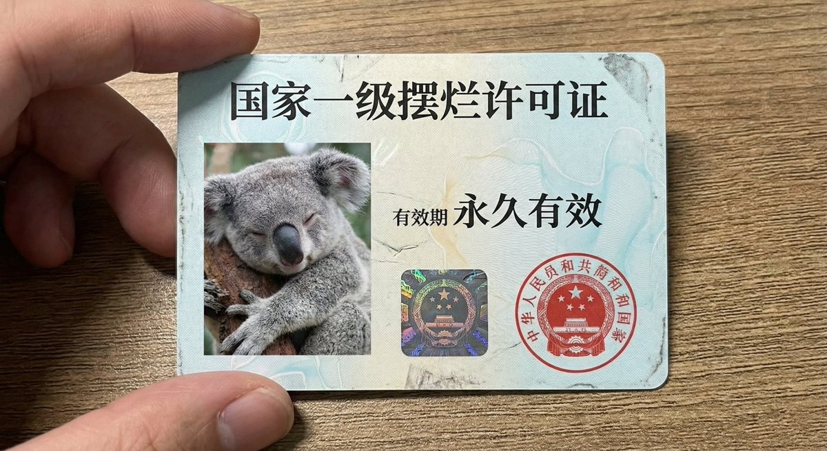 Create a close-up, driver's-license-style ID card featuring a sleeping koala as the ID photo. The card text includes the name “National First-Class Slacking-Off License” and a validity period marked “Valid permanently.”